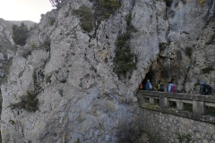 IMG-20241201-WA0005