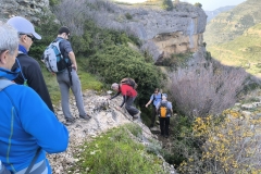 IMG-20241201-WA0011