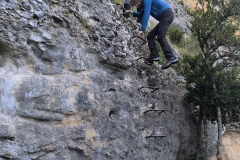 IMG-20241201-WA0013