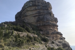 IMG-20241201-WA0018