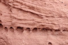 1_IMG-20250323-WA0007