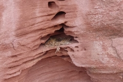 1_IMG-20250323-WA0009