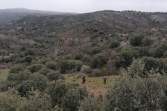 1_IMG-20250323-WA0015