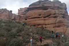 1_IMG-20250323-WA0016