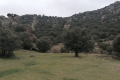 1_IMG-20250323-WA0017