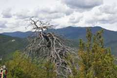IMG-20240512-WA0009