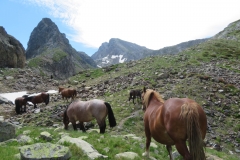 1_IMG-20240714-WA0018