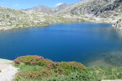 1_IMG-20240714-WA0024_2_11zon