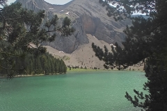 IMG-20240707-WA0043