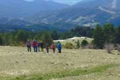 IMG-20240324-WA0019