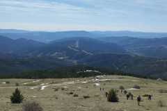 IMG-20240324-WA0030