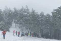 IMG-20240303-WA0020
