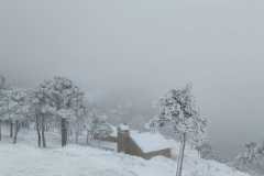 IMG-20240303-WA0021