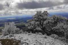 IMG-20240303-WA0030