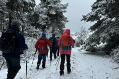 IMG-20240303-WA0038