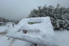 IMG-20240303-WA0039