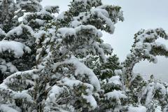 IMG-20240303-WA0040