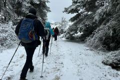 IMG-20240303-WA0042