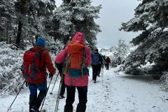 IMG-20240303-WA0043