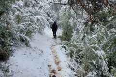IMG-20240303-WA0045
