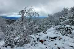 IMG-20240303-WA0046