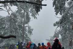 IMG-20240303-WA0047