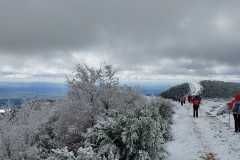 IMG-20240303-WA0049