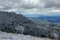 IMG-20240303-WA0051