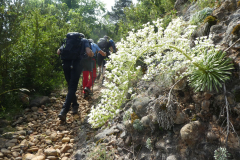 IMG-20250615-WA0018