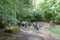 IMG-20250615-WA0019
