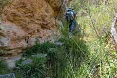 IMG-20240526-WA0015