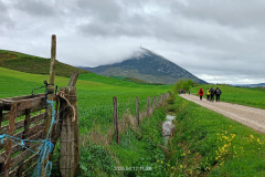 trashed-1779267868-IMG-20260416-WA0008