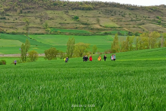 trashed-1779267869-IMG-20260416-WA0082