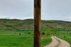 trashed-1779267869-IMG-20260416-WA0083