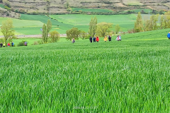 trashed-1779267869-IMG-20260416-WA0084