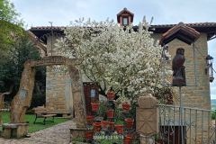 trashed-1779267869-IMG-20260416-WA0103