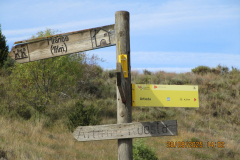 IMG-20251006-WA0001