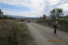 IMG-20251006-WA0010