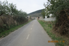 IMG-20251006-WA0012