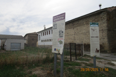 IMG-20251006-WA0016