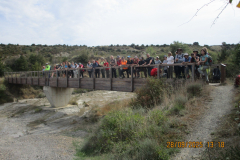 IMG-20251006-WA0021