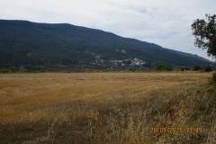 IMG-20251006-WA0024