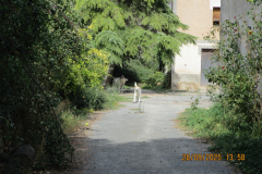 IMG-20251006-WA0029