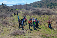 WhatsApp-Image-2026-03-01-at-21.31.27