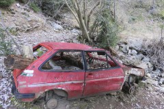 20231126135252_IMG_5142_rr