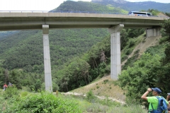 IMG-20240617-WA0022