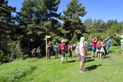 IMG-20240617-WA0029