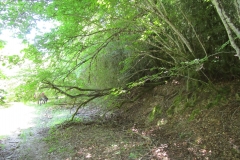 IMG-20240617-WA0034