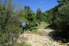 IMG-20240617-WA0035