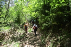 IMG-20240617-WA0036